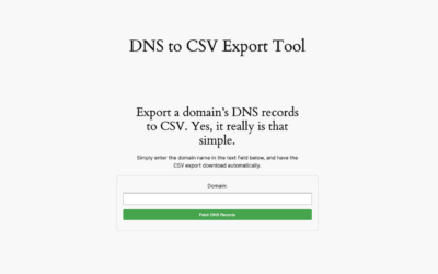 Introducing Our DNS CSV Export Tool